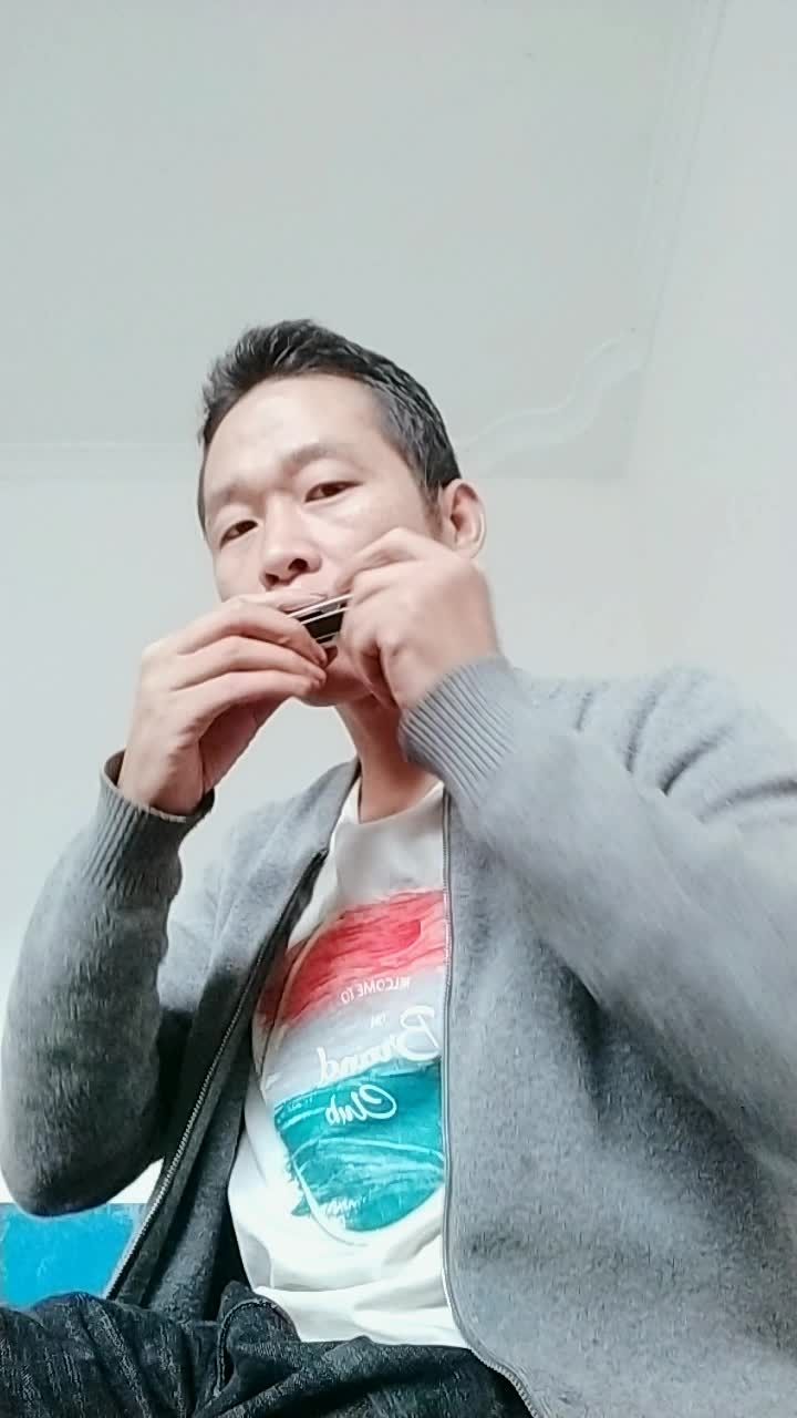 口琴《上海滩》