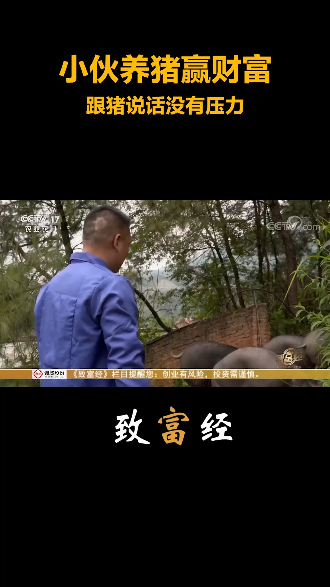 致富经怎么没有了(致富经上面的是真的吗)