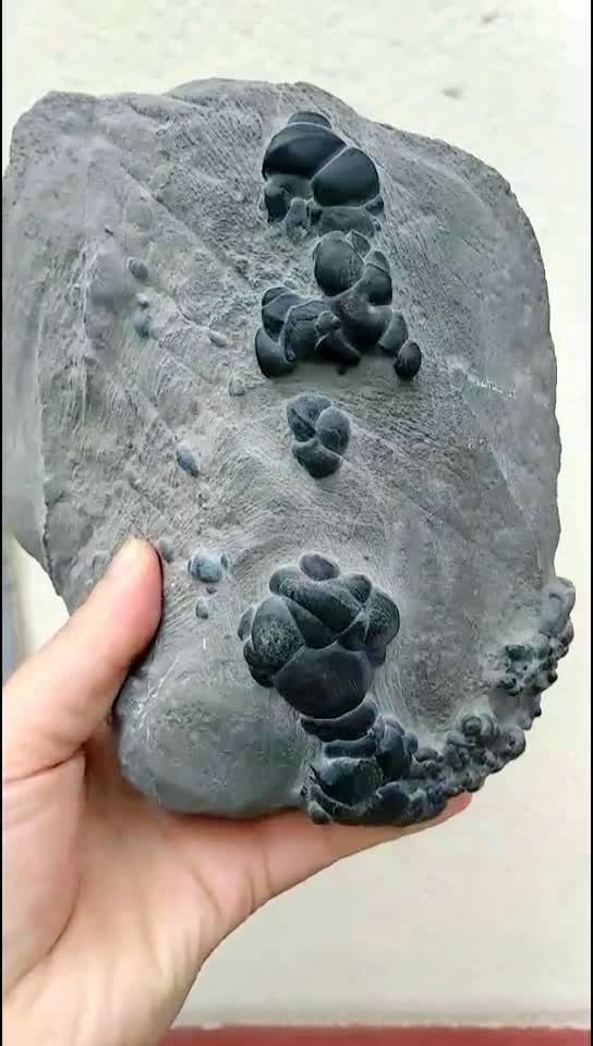 灵璧珍珠石 原石 无伤 尺寸:17,17,9cm