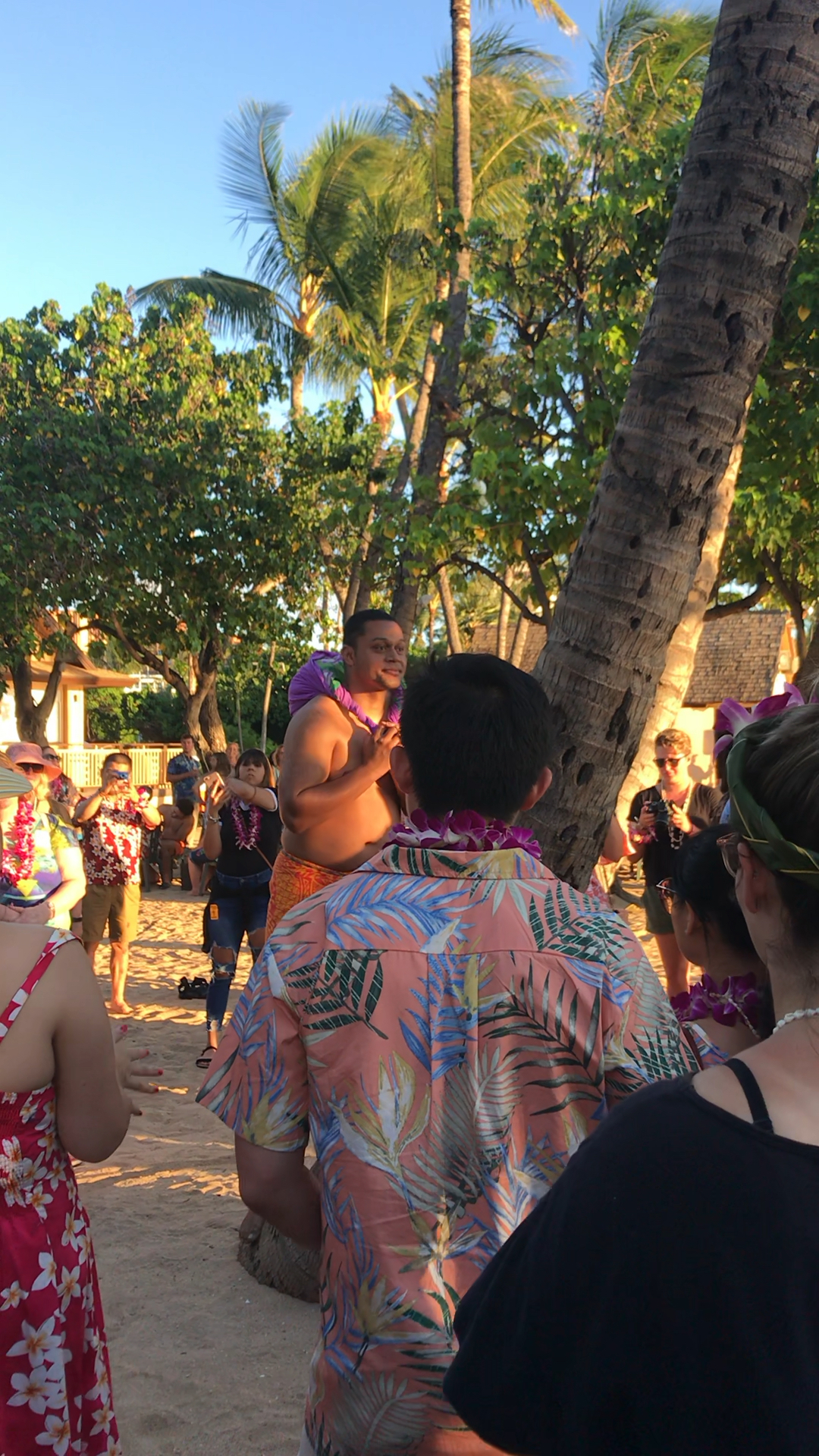 夏威夷土著爬树