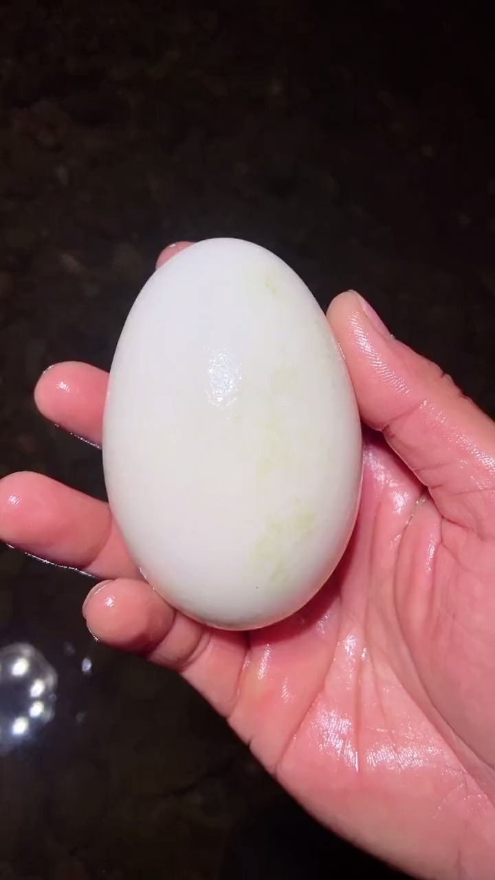 这么大一颗鸭蛋回家等小鸭子出来!