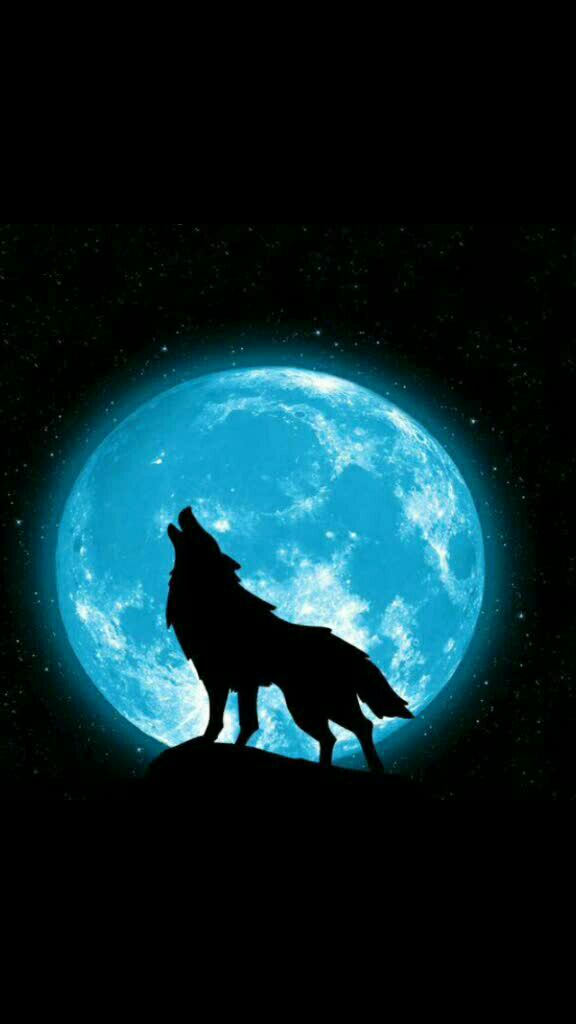 孤狼啸月孤狼望月图片图片