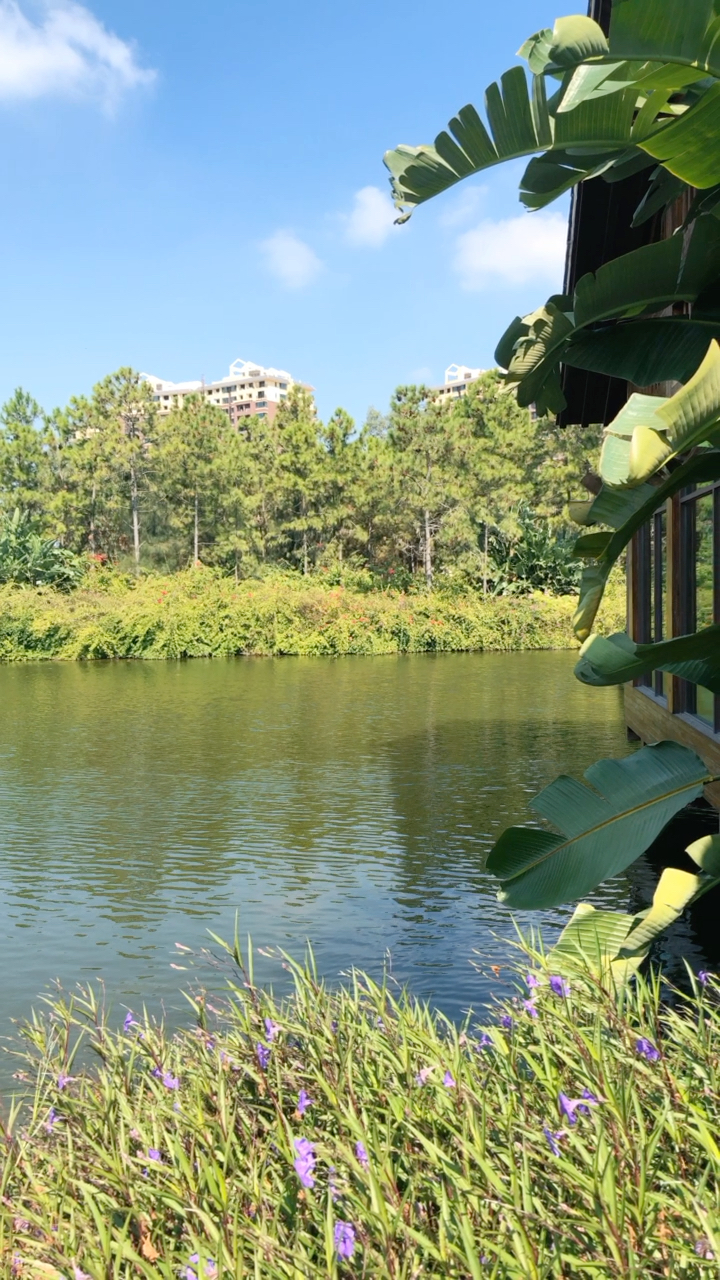 漳州古雷欢乐岛