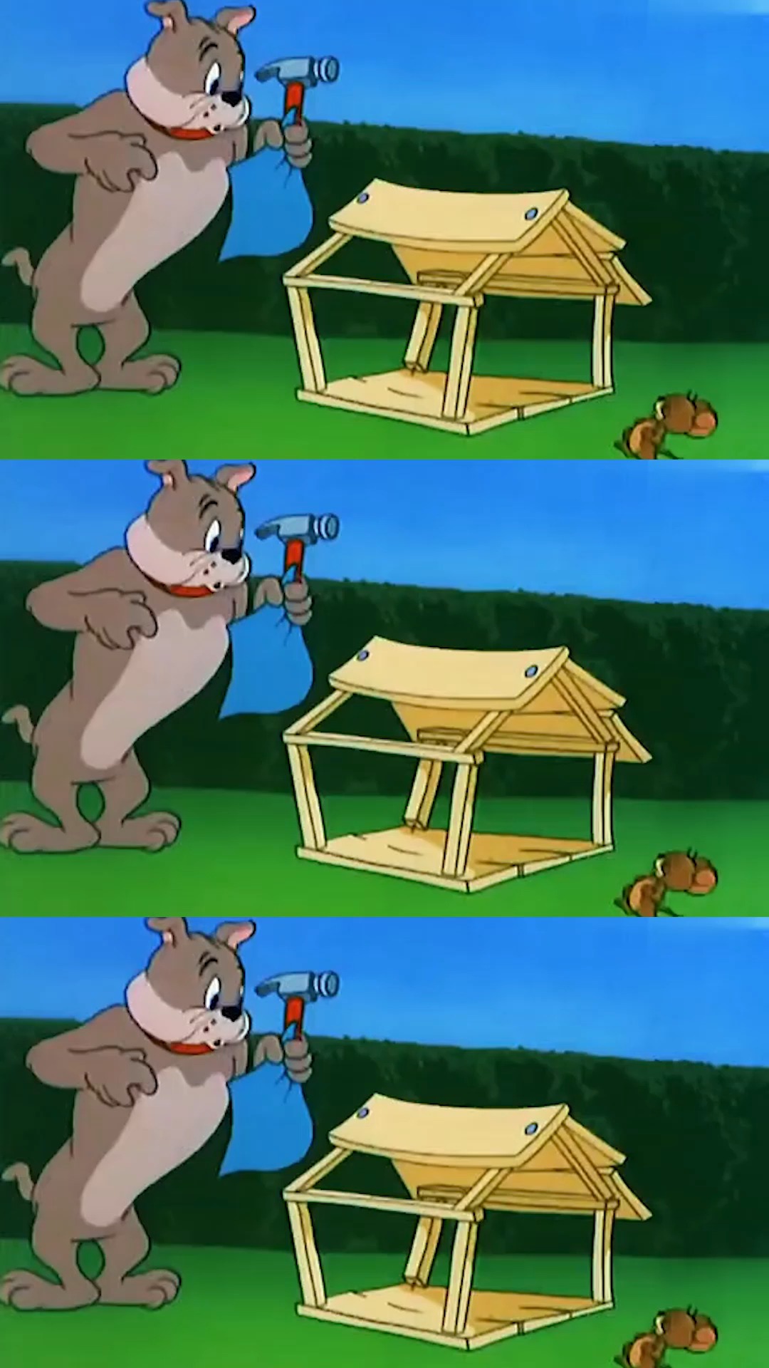 哈哈哈看斯派克惊恐的小眼神#猫和老鼠