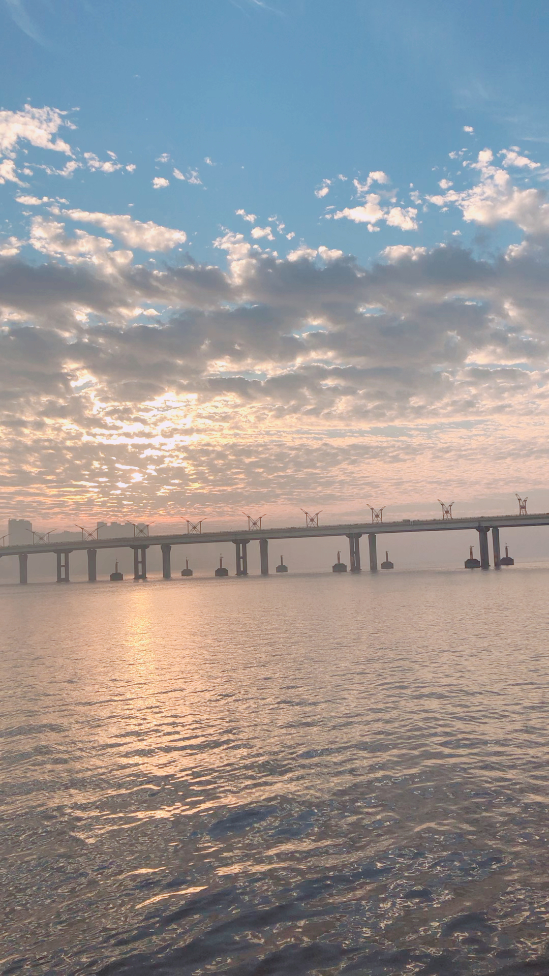 最美瑞安 #瑞安飞云江