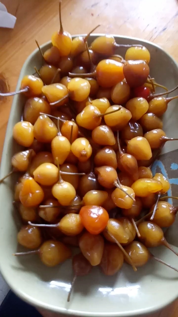 酱油泡七彩椒———辣么脆