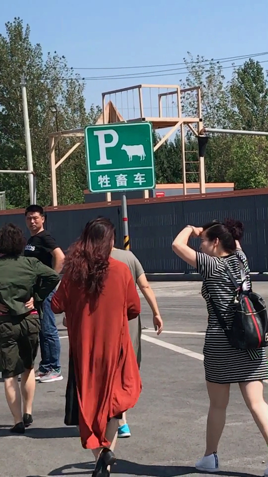 把停车在这个位置,哈哈90@{uid:1502349662339070,nick:经%e