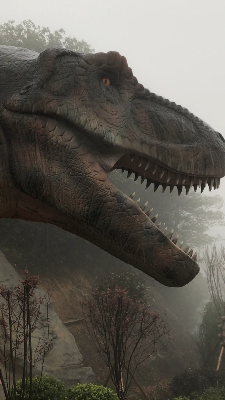 下雨 偶遇 侏罗纪公园  恐龙再现