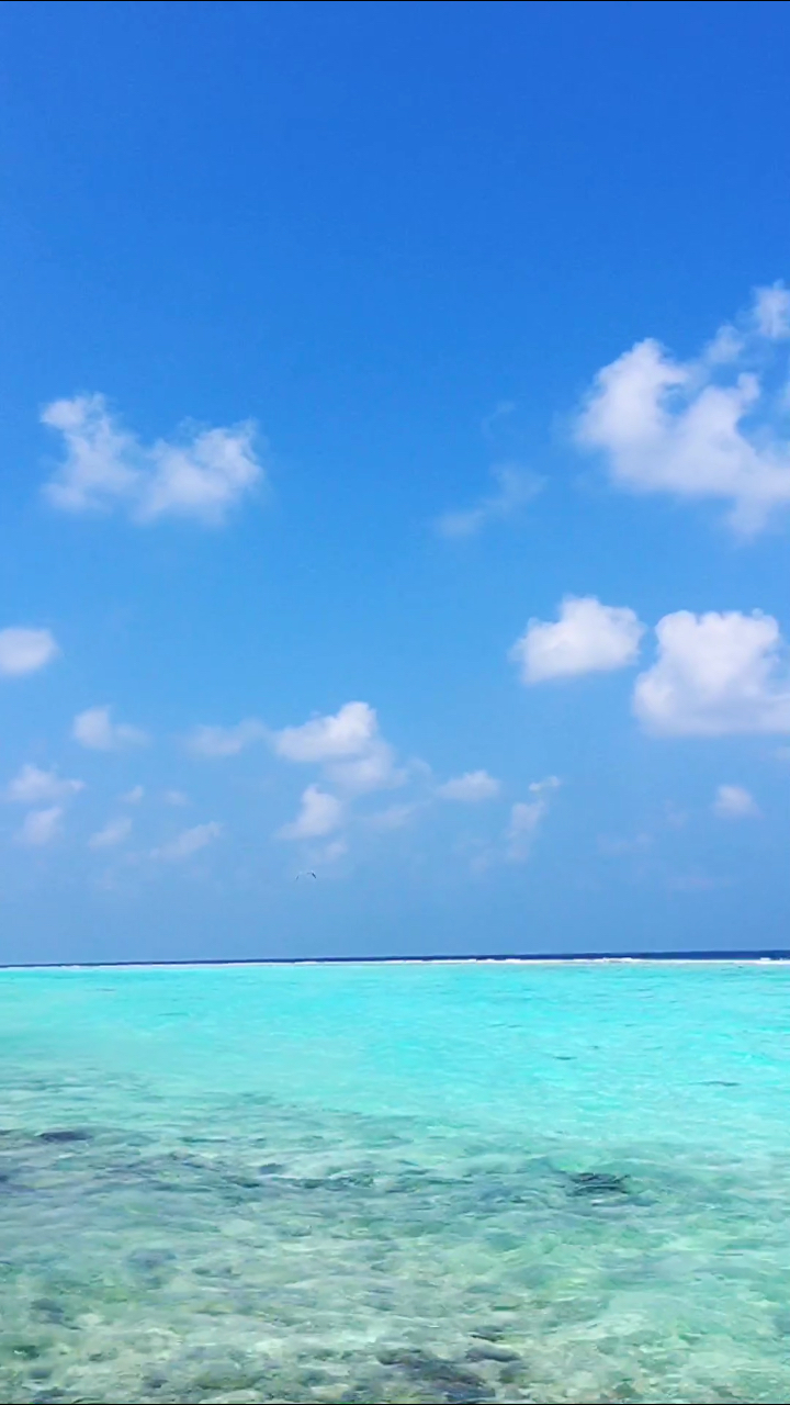 92马尔代夫的治愈系大海,来享受这一刻的宁静!7815