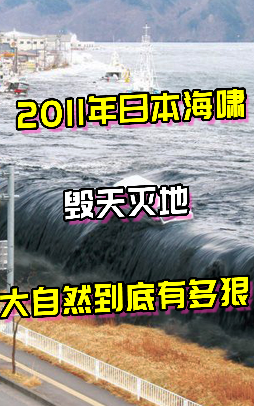 2011年日本海啸的真实场景,来看看大自然的威力有多狠#奇闻趣事#纪录