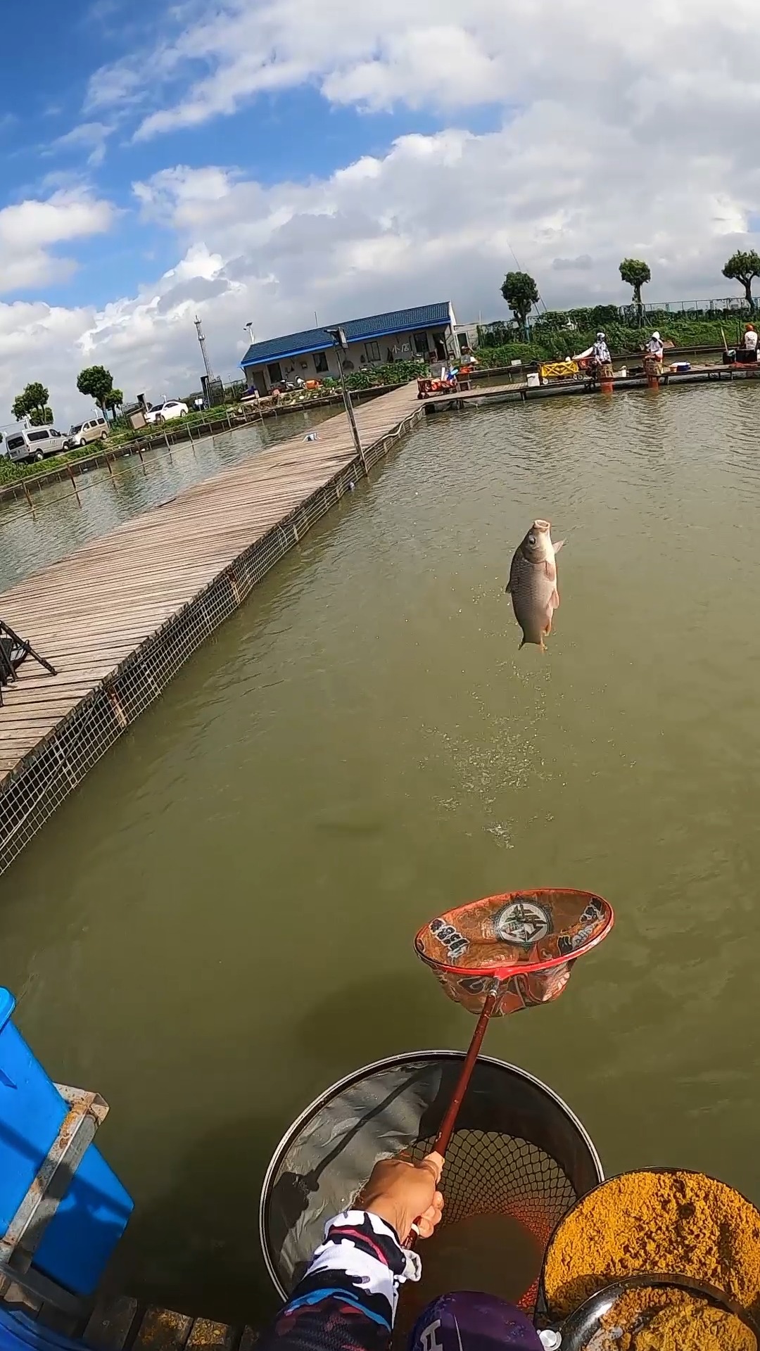 鲤鱼飞抄第一视觉!#黑坑钓鱼 #钓鱼 #户外钓鱼