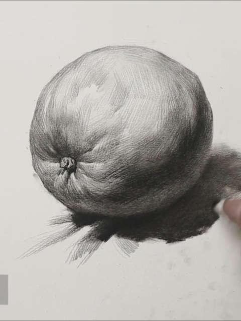 素描静物 桔子#素描