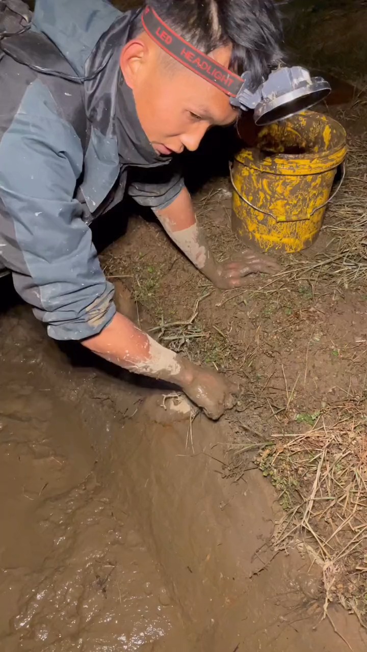 小伙户外抓鳝鱼,收获竟然这么大!#户外抓鳝鱼