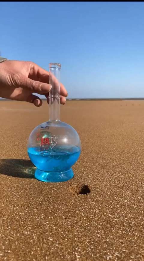 一瓶海之蓝倒下去了,结果一只螃蟹都没抓到