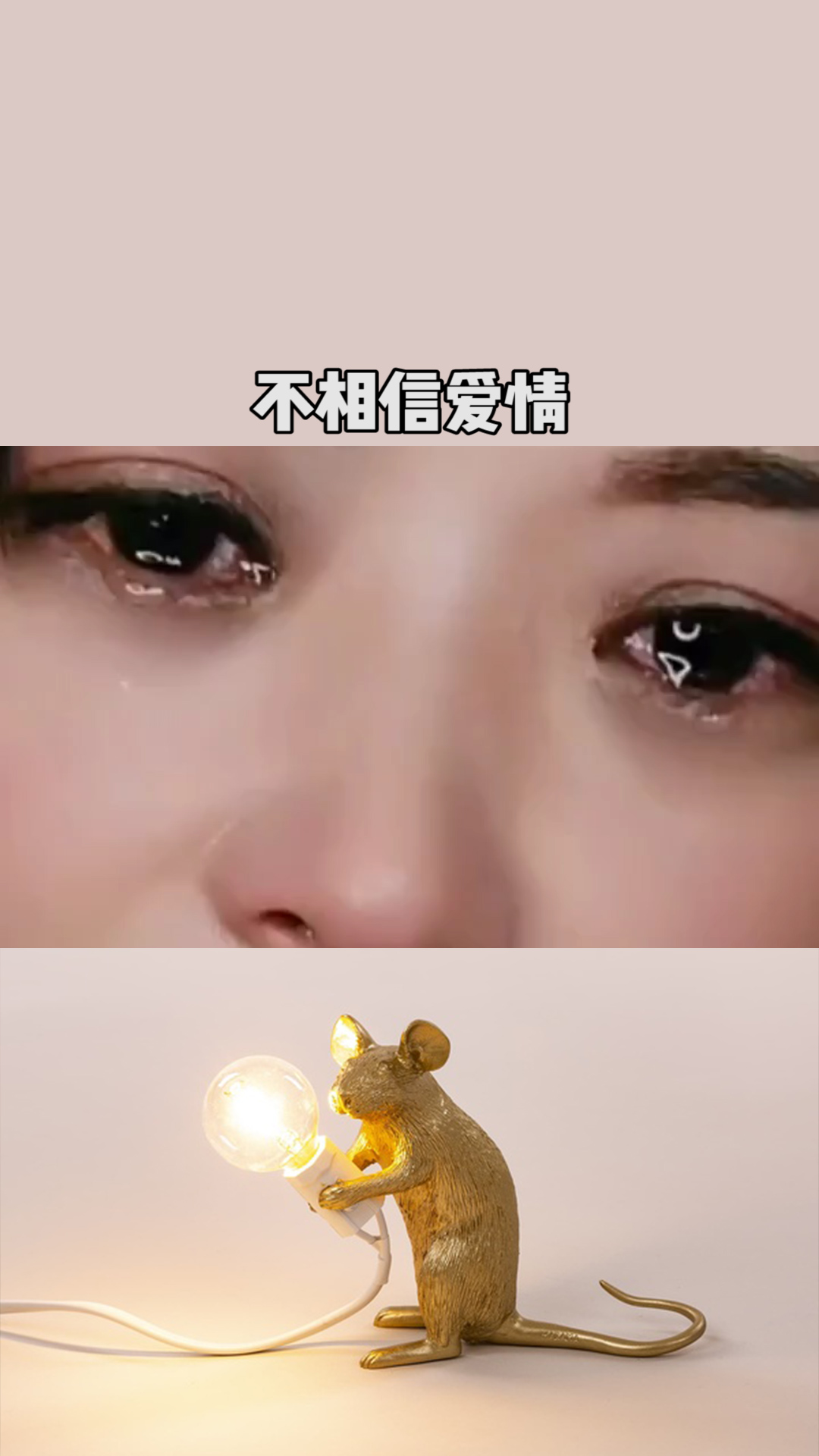 我再也不相信爱情了