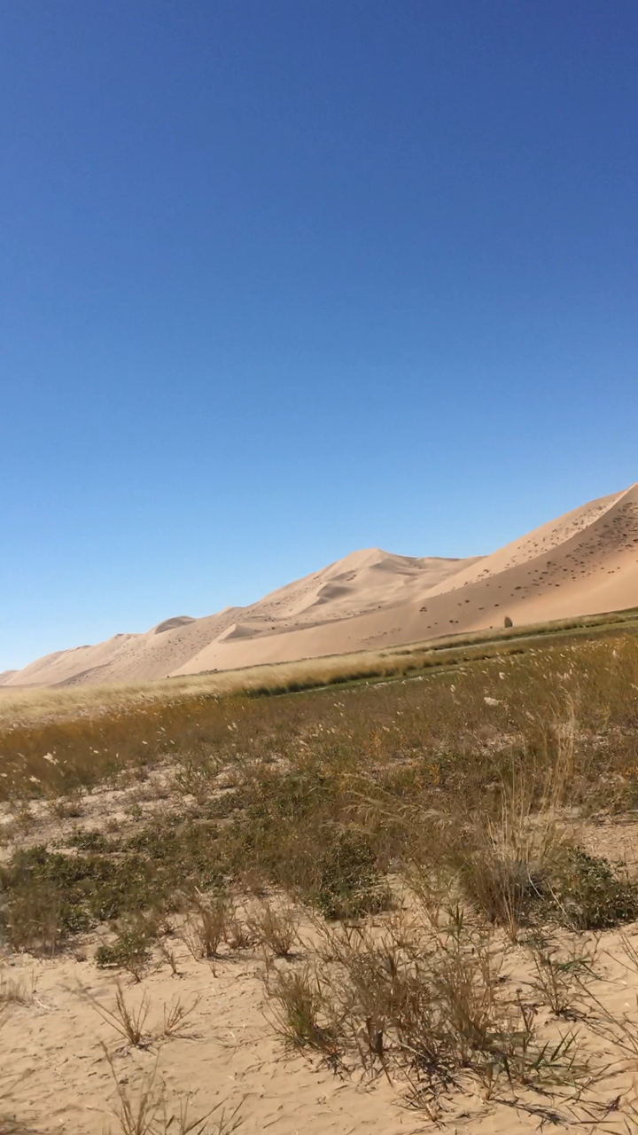 巴丹吉林沙漠中的海子,超美!