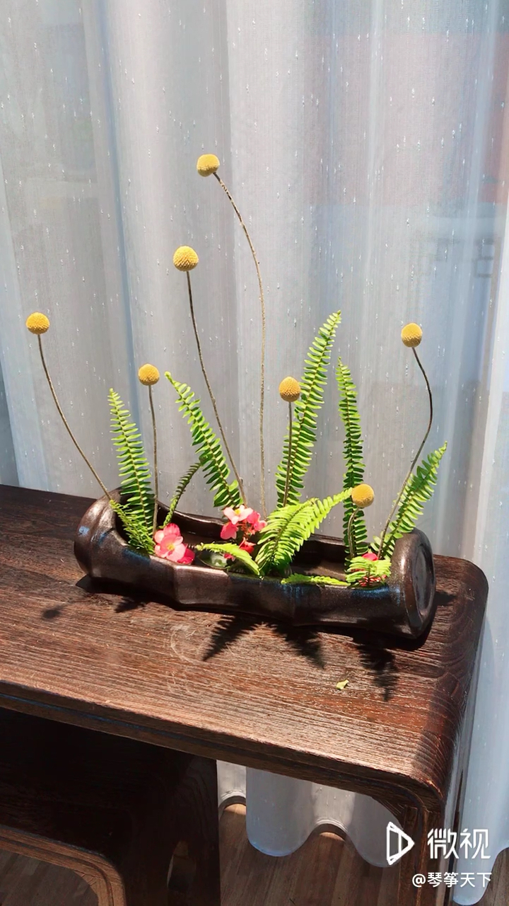 最简单的写景式插花.以后路边遇到这种排草可以剪回家.