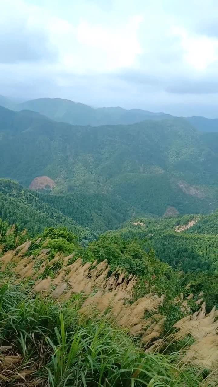 六万大山