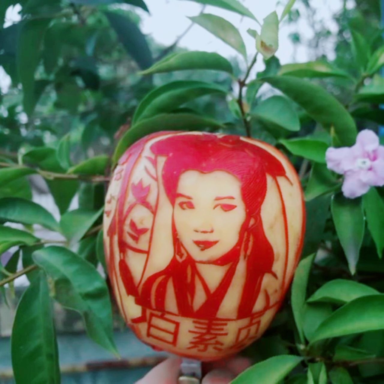 苹果雕刻人物肖像~新白娘子传奇(小青/白素贞)