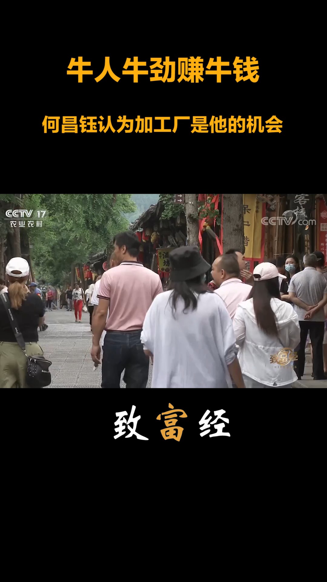 致富牛人栏目(致富经栏目团队)