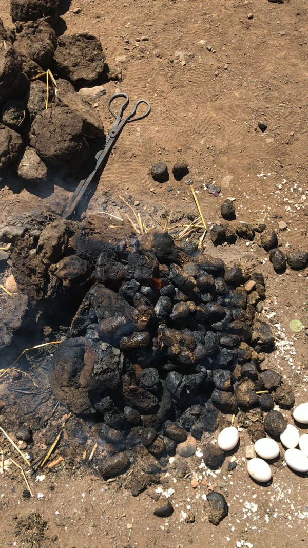 牛粪烧的土豆,你们吃过吗?