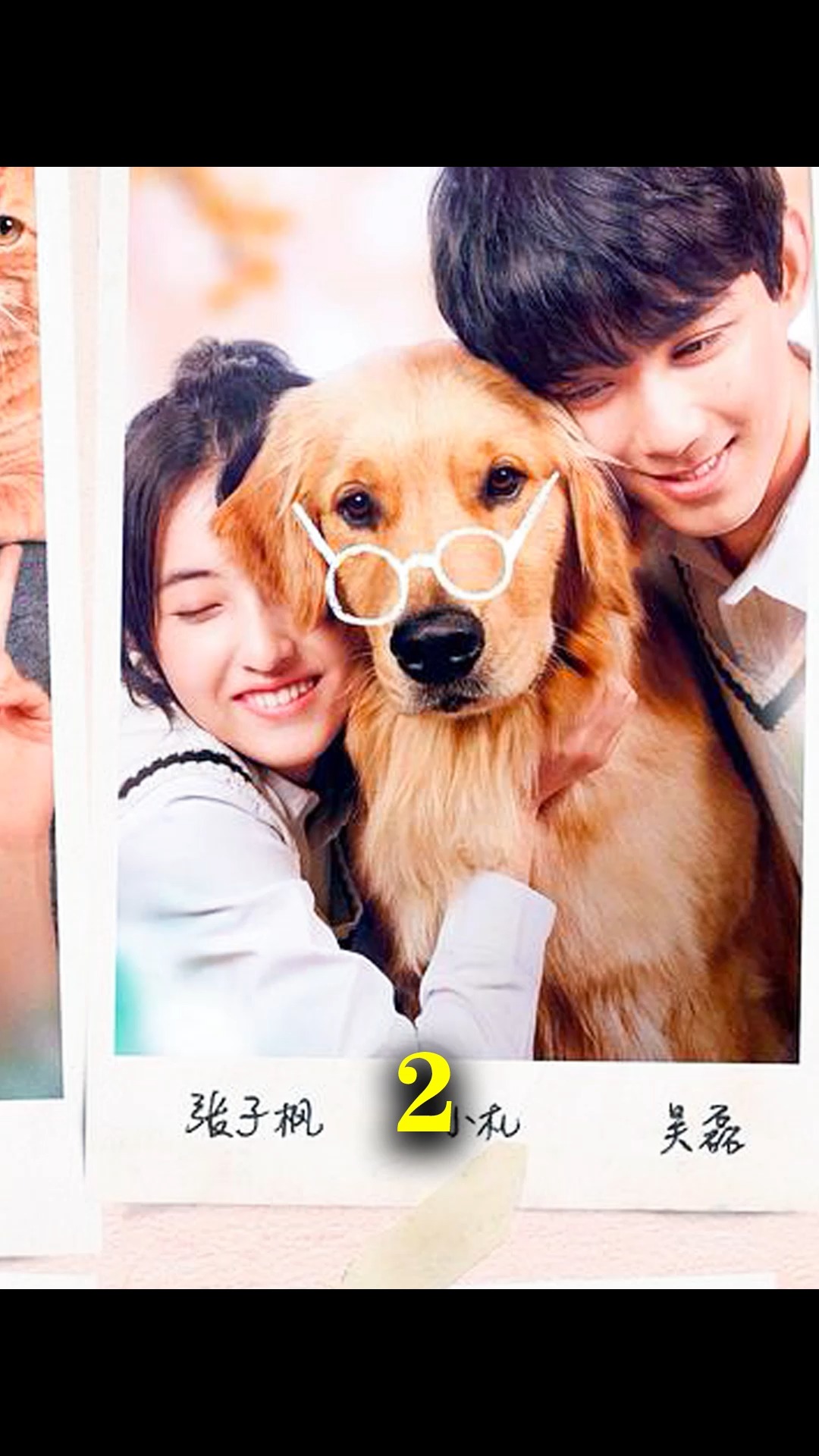 男友养一只猪当宠物是一种什么体验?#电影宠爱