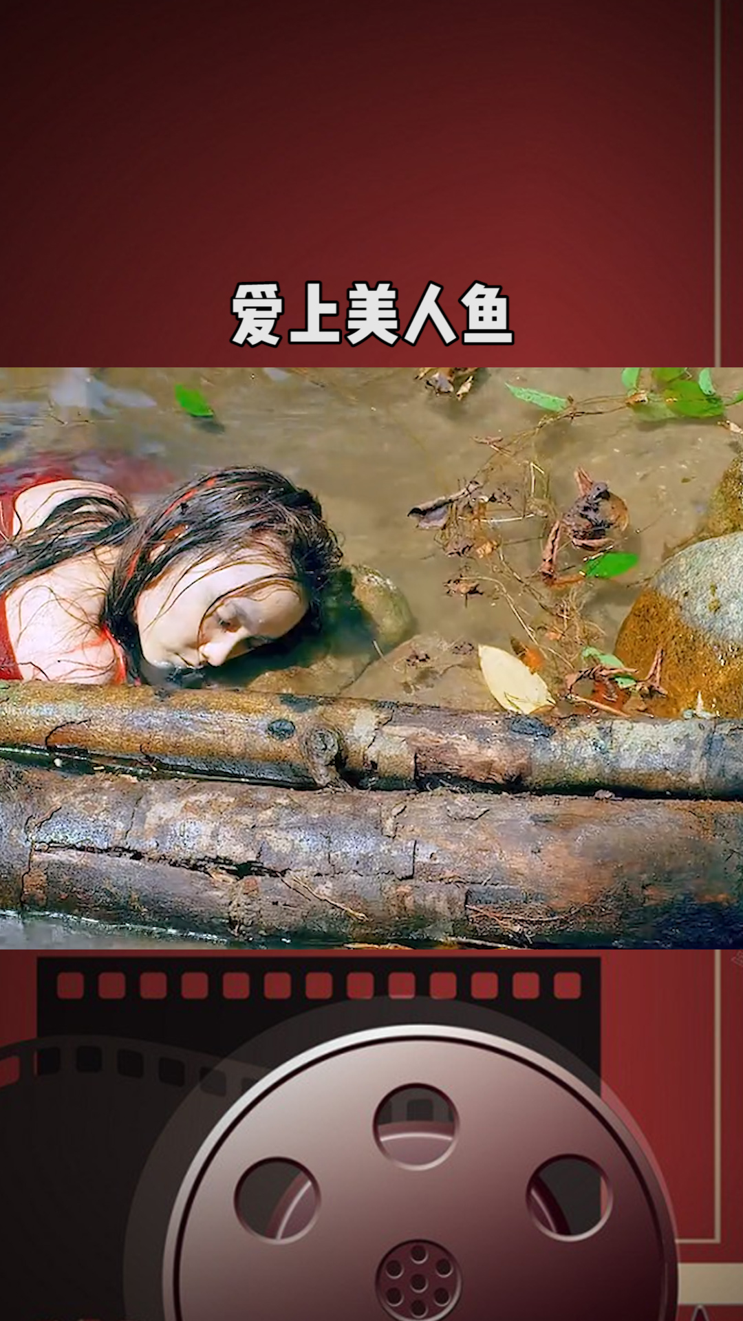 连环案件的凶手竟是个九月怀胎的孕妇,受害者一个比一个漂亮#百万视友