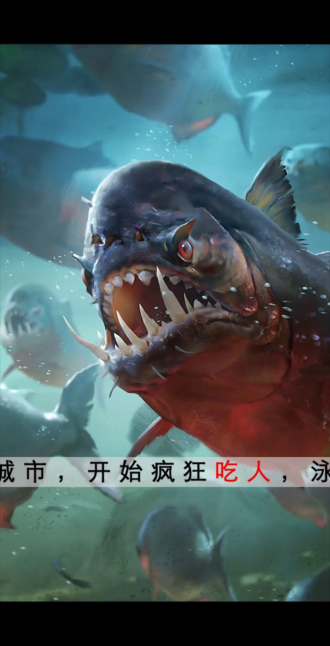 食人鱼入侵人类世界 # 电影解说# #科幻惊悚