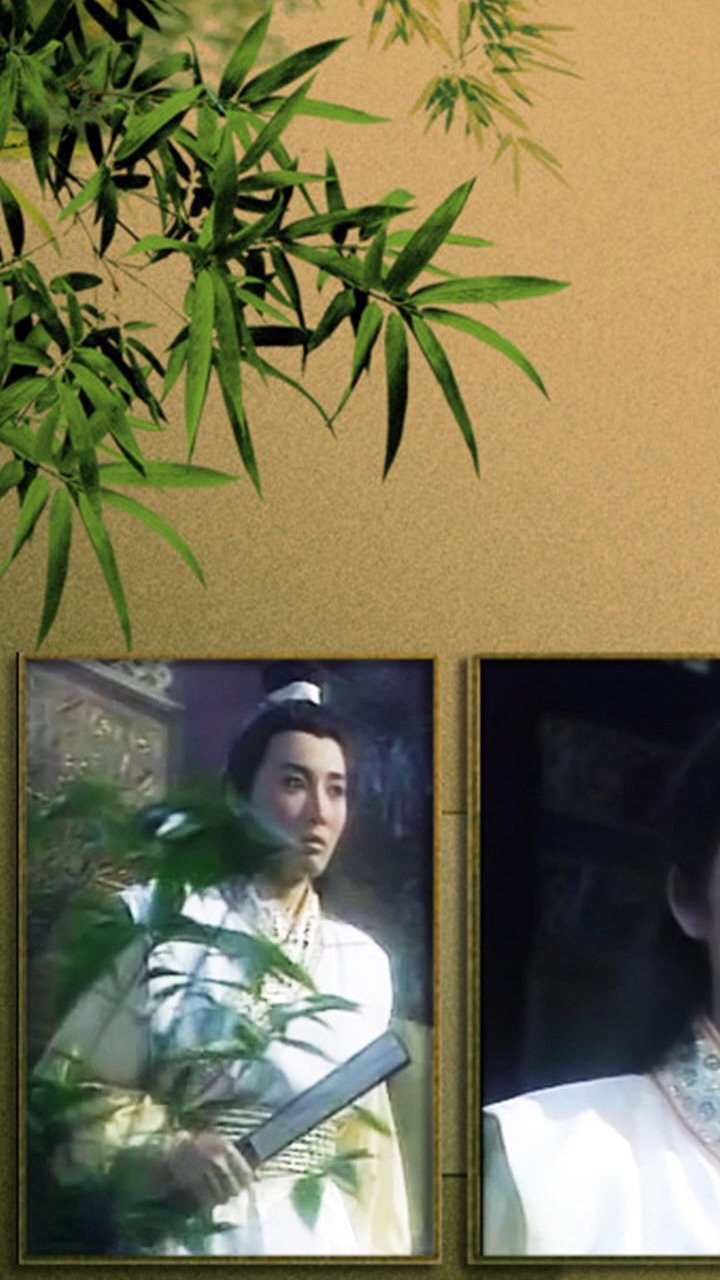 还记得白玉川《莲花争霸》吗?27年前万人空巷的第一代中性女神!p3