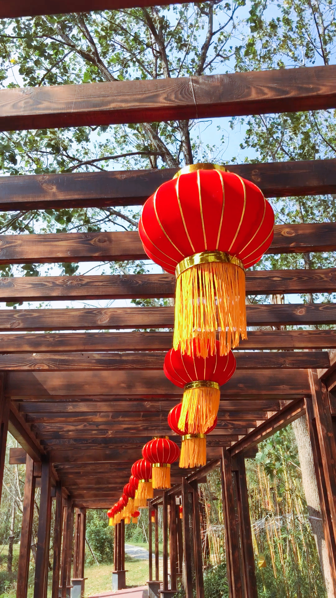 长廊上挂满了大红灯笼,一个个红灯笼像一个个小精灵左摇右摆,好看极了