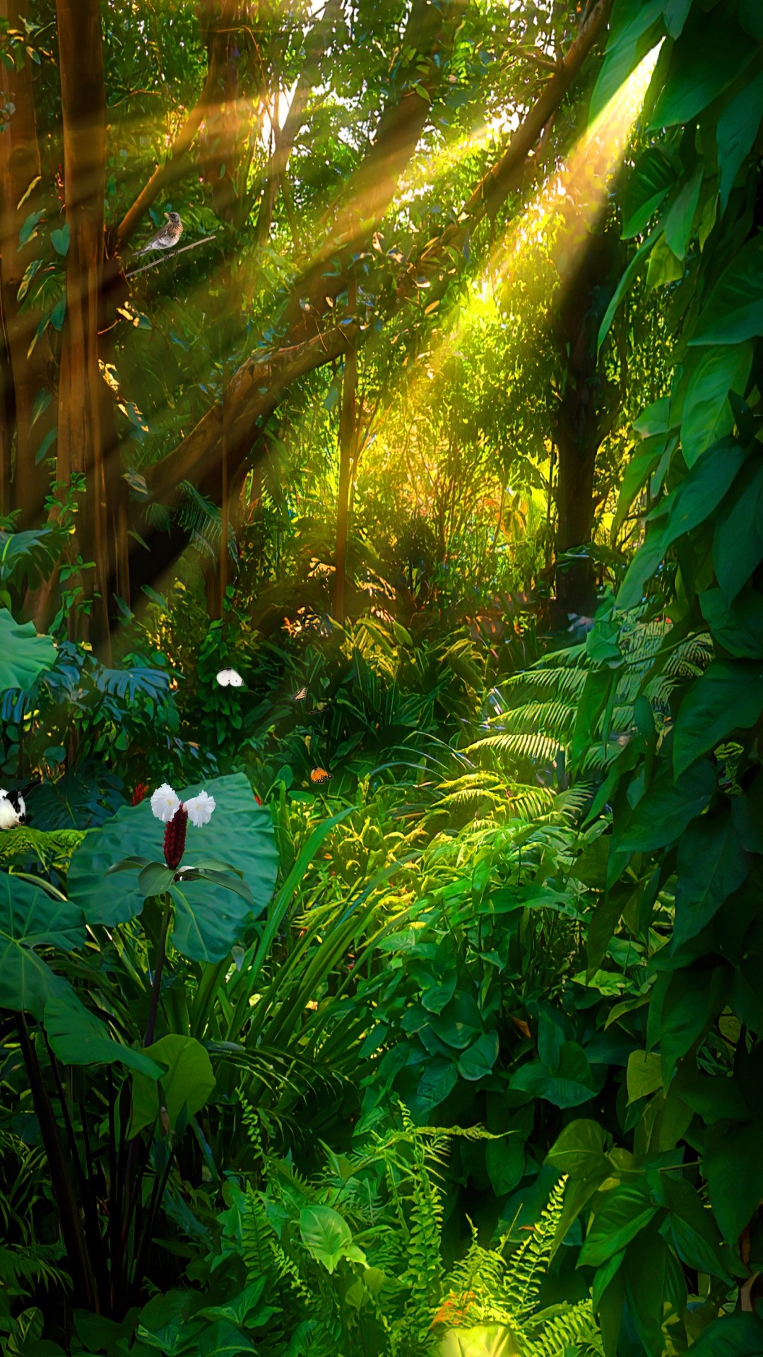 远离喧嚣,亲近大自然,观山林,闻鸟鸣,修心之清净,得世间大爱#风景