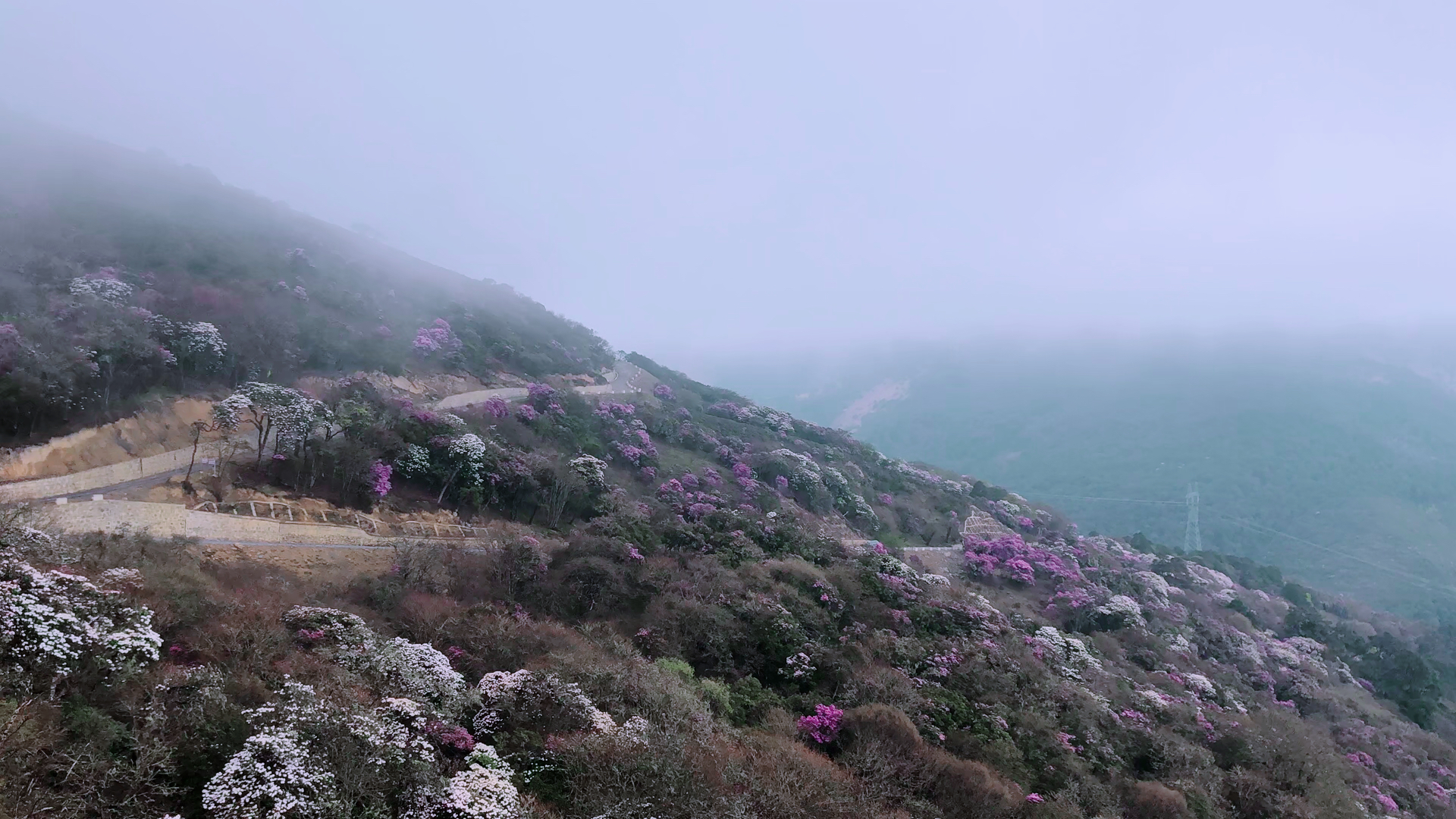 【自然笔记2】大理鹤庆马耳山天池,海拔3900米……云雾缭绕极为壮观