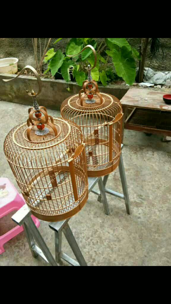 这是直径27,高36的黄豆鸟笼,款式多多,有喜欢的老铁欢迎定购