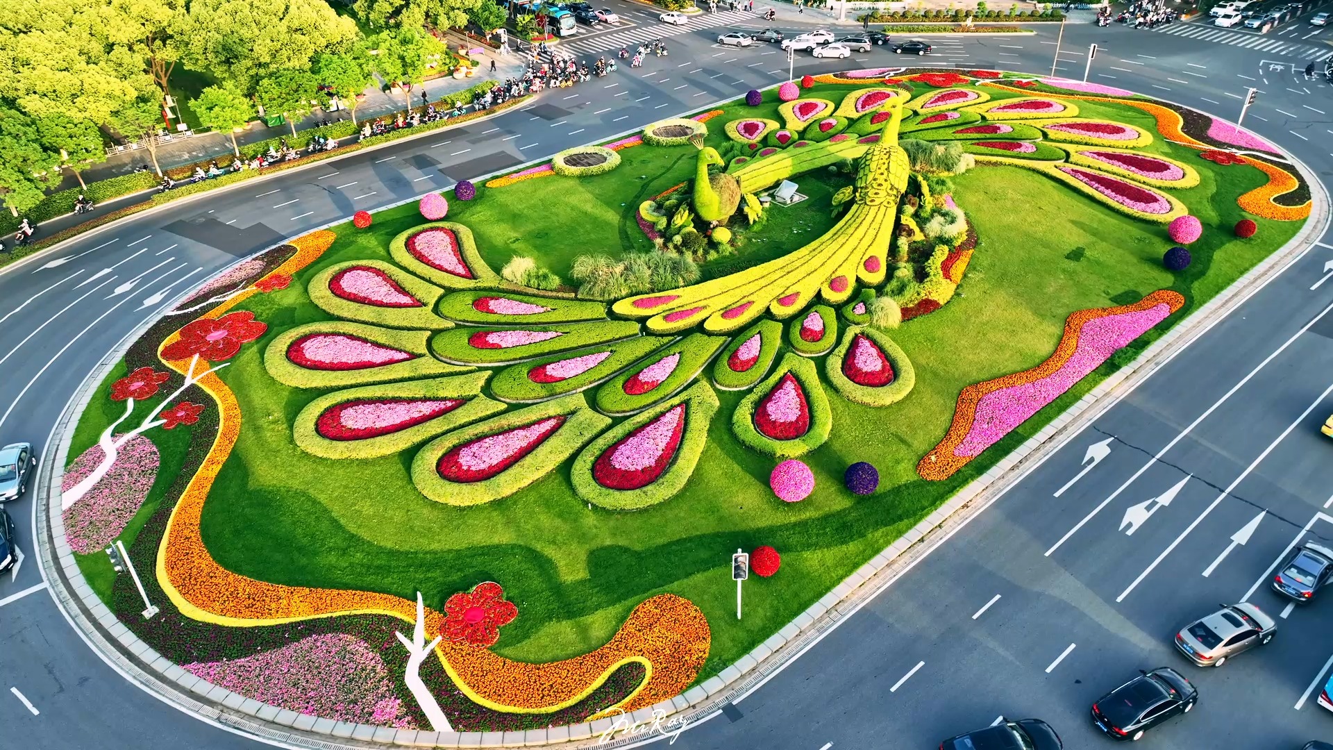 喜迎五一,鼓楼广场的两只孔雀换上了新花衣,献上一道靓丽的风景线