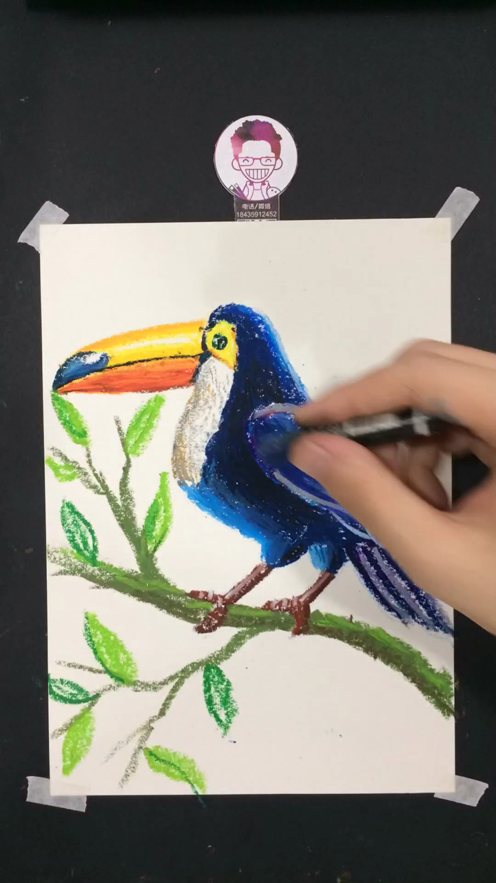 油画棒教你画一只大嘴鸟!