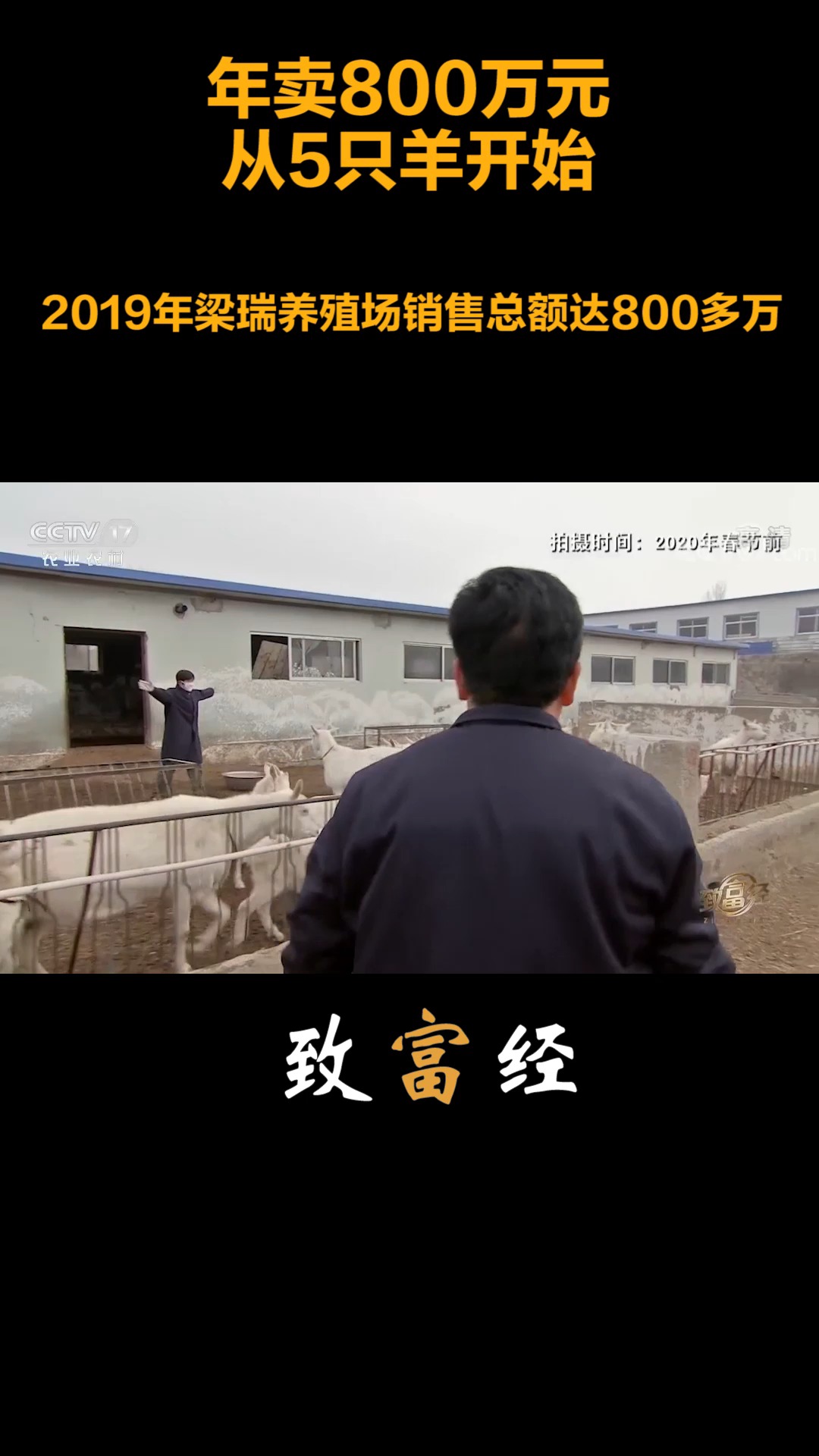 致富经2019年全集完整版(致富经2019全集视频完整版)