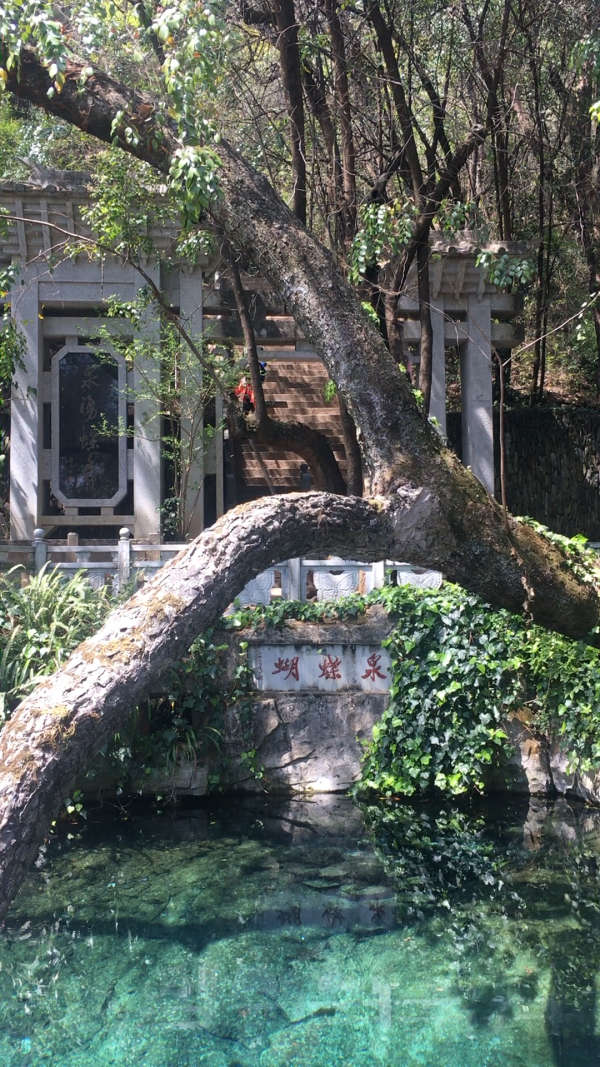 五朵金花—蝴蝶泉