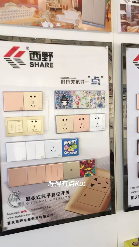 西野高端定制开关