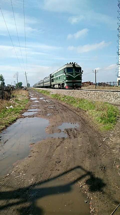黑河2209次龙镇站进站,通过北黑线60道口,全列25g型新空调旅客列车