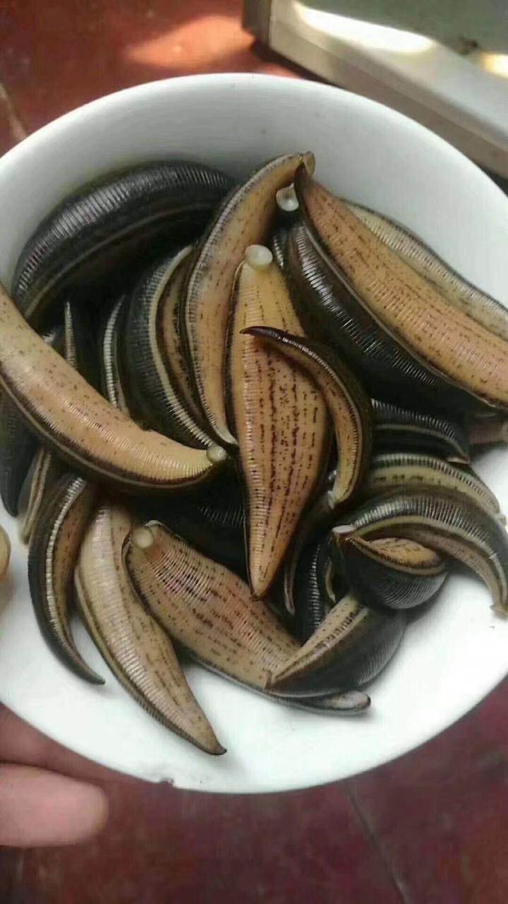 今晚吃这个 你们吃吗?