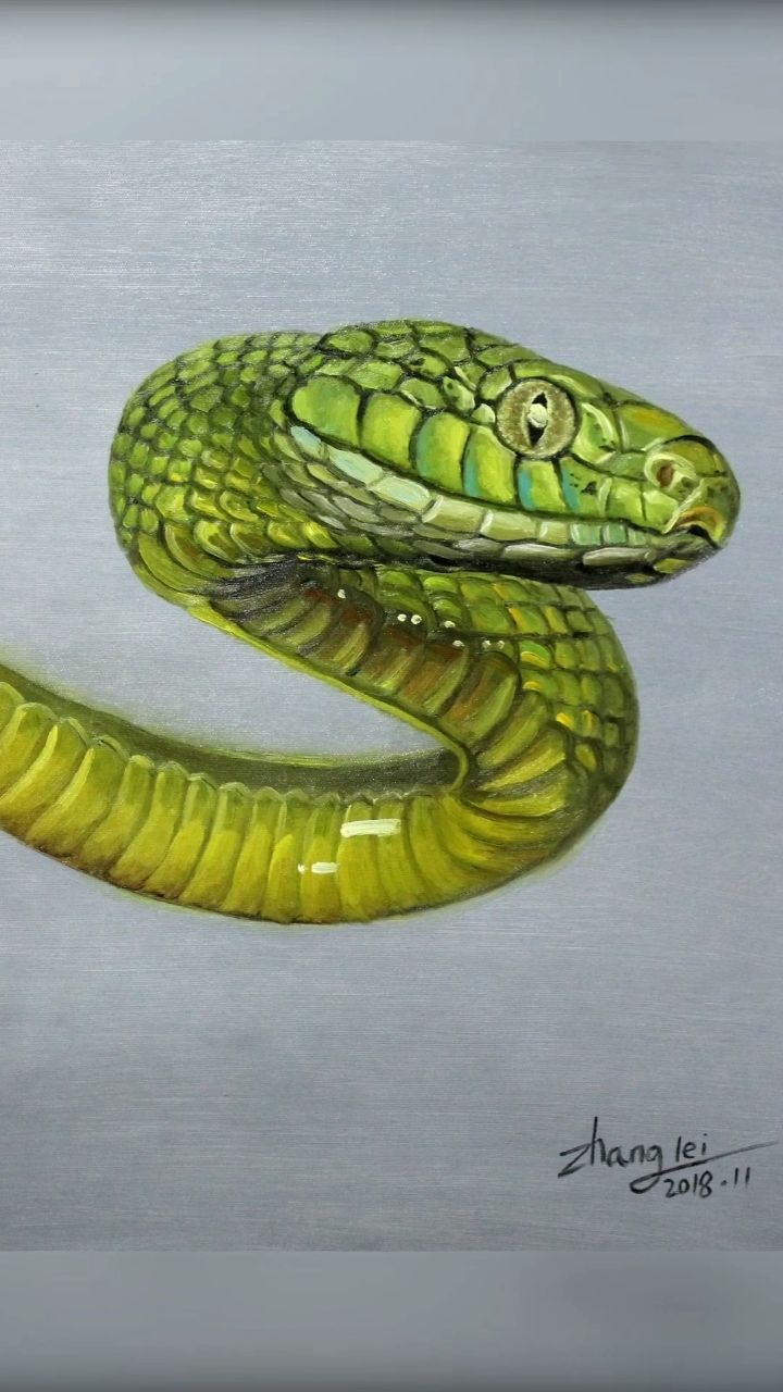 聋人画师-油画蛇