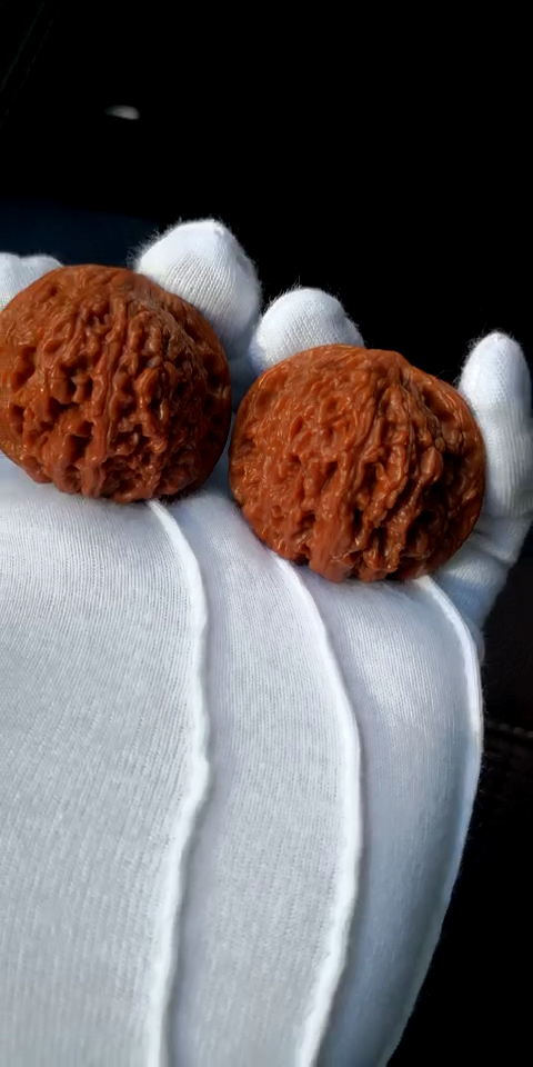 龙洞峪老款闷尖狮子头