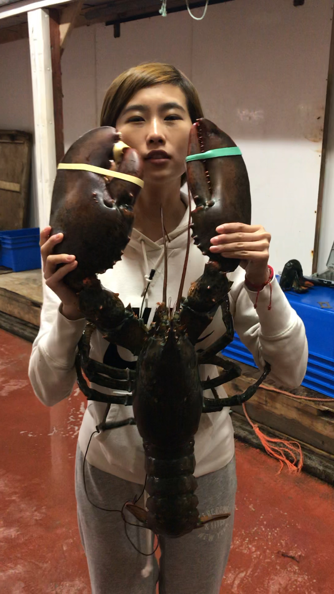 6,70岁的龙虾精?