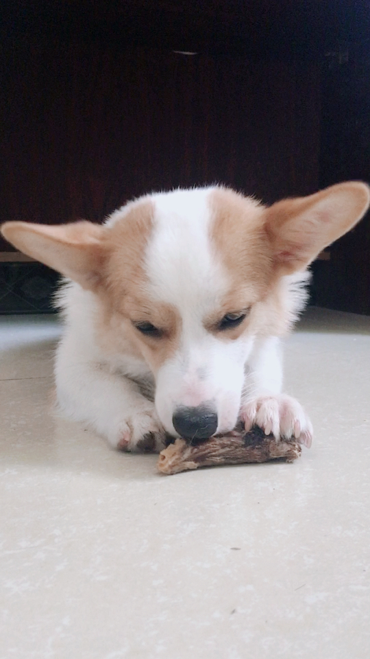 吃鸭脖的小蠢货(人 6108516108)167979比心心