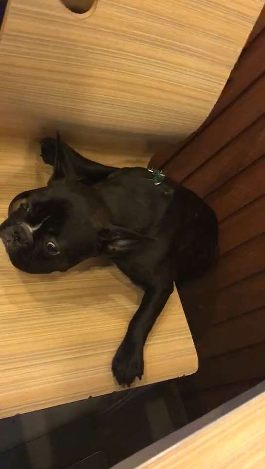 好绝望的眼神儿98