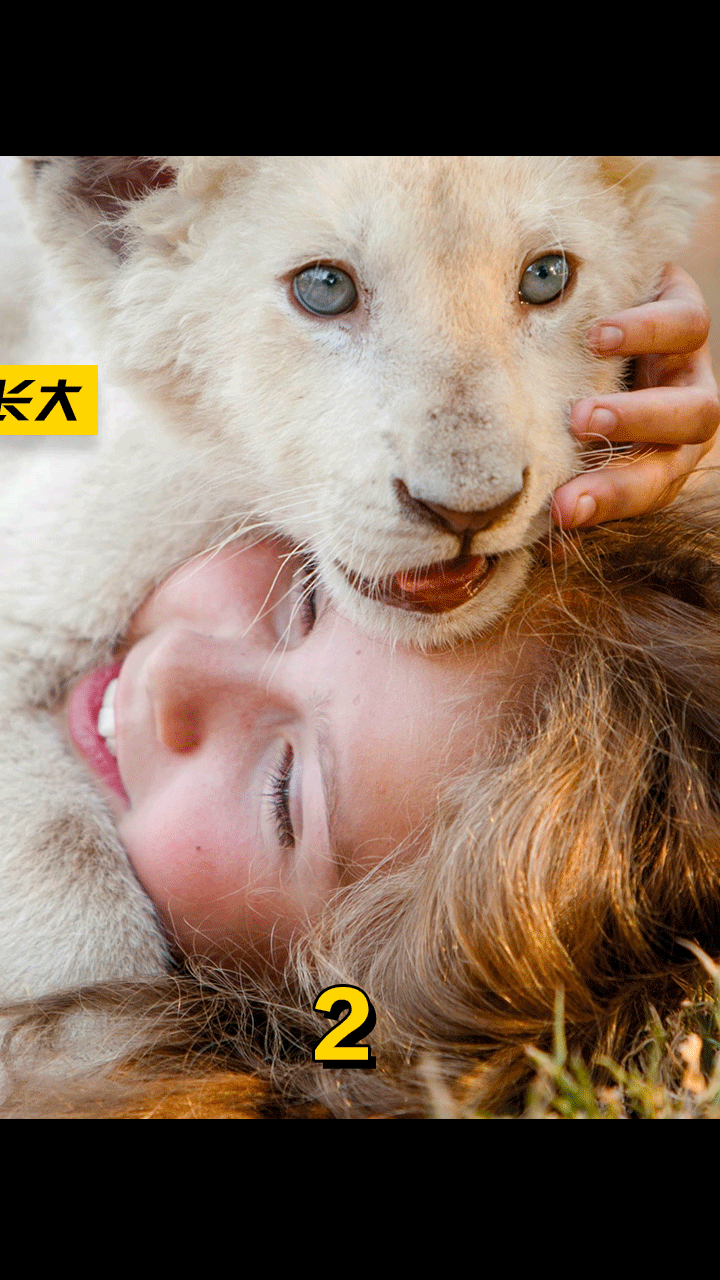 女孩和狮子一起长大,长大后的她居然带着狮子去逛商场!路人都惊呆了!