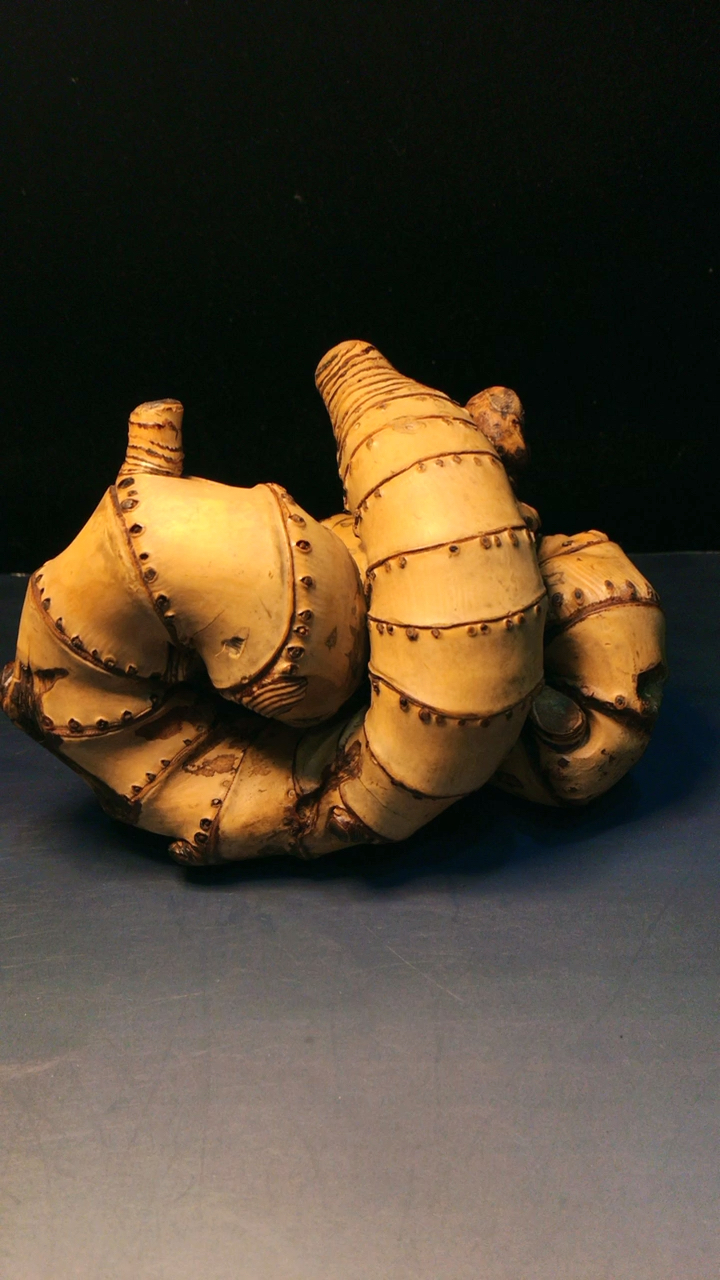 难道的精品竹鞭