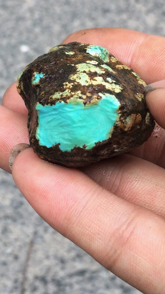 原矿绿松石毛料55克 无白无黑