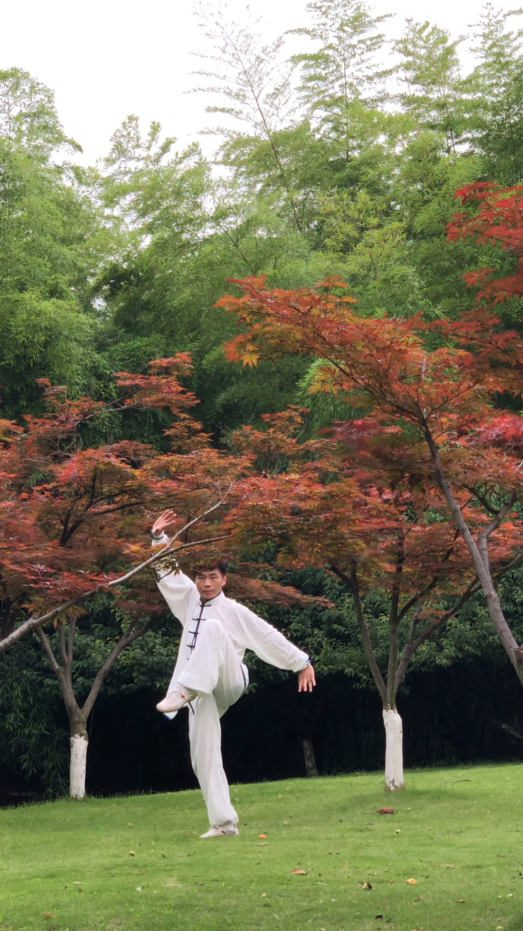 太极禅舞 运动 健康 生命 和谐