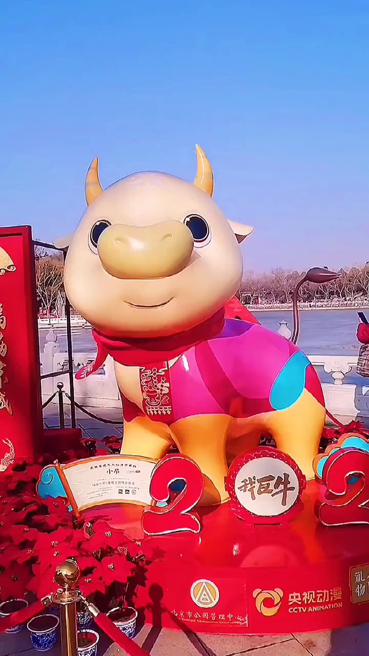 央视春晚,牛年动漫吉祥物小昂亮相北海公园春晚吉祥物